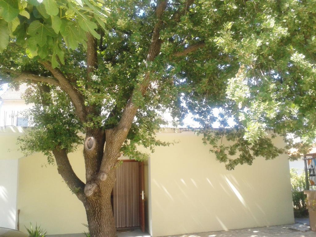 Apartments Angela Biograd Na Moru Exterior foto